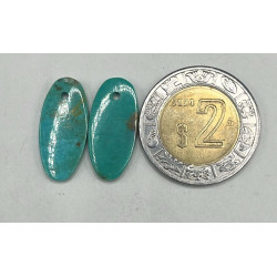 Par de Turquesa Perforado