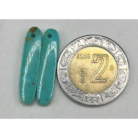 Par de Turquesa Perforado