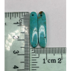 Par de Turquesa Perforado