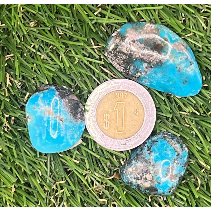 Lote de cabujón de Turquesa rústicos