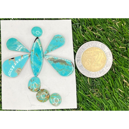 Cabujón de Turquesa