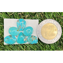 Cabujón de Turquesa