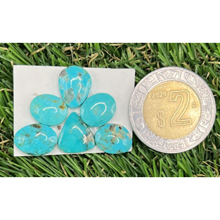 Cabujón de Turquesa