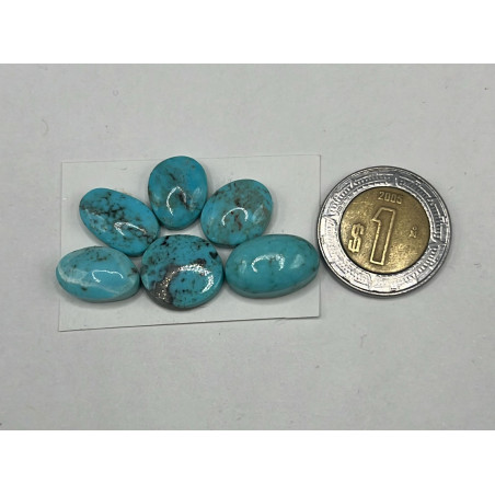 Cabujón de Turquesa