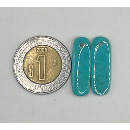 Par de Turquesa Perforado