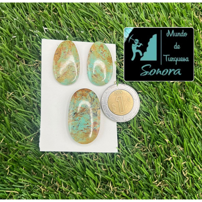 Set de cabujón de par y dije