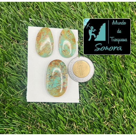 Set de cabujón de par y dije