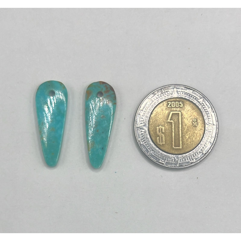 Par de Turquesa Perforado