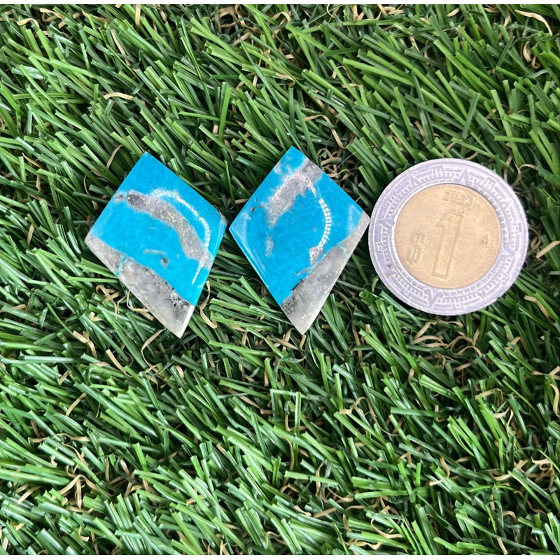 Par de Turquesa Nacozari