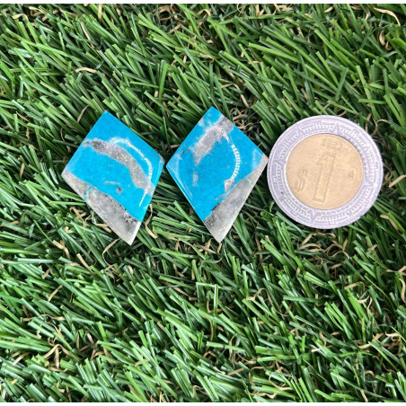 Par de Turquesa Nacozari