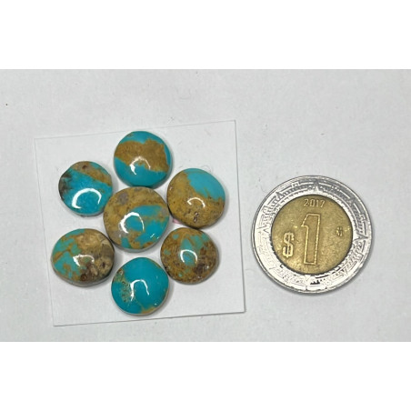 Cabujon de turquesa flor