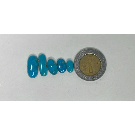 Lote de Cabujon Sleeping Beauty